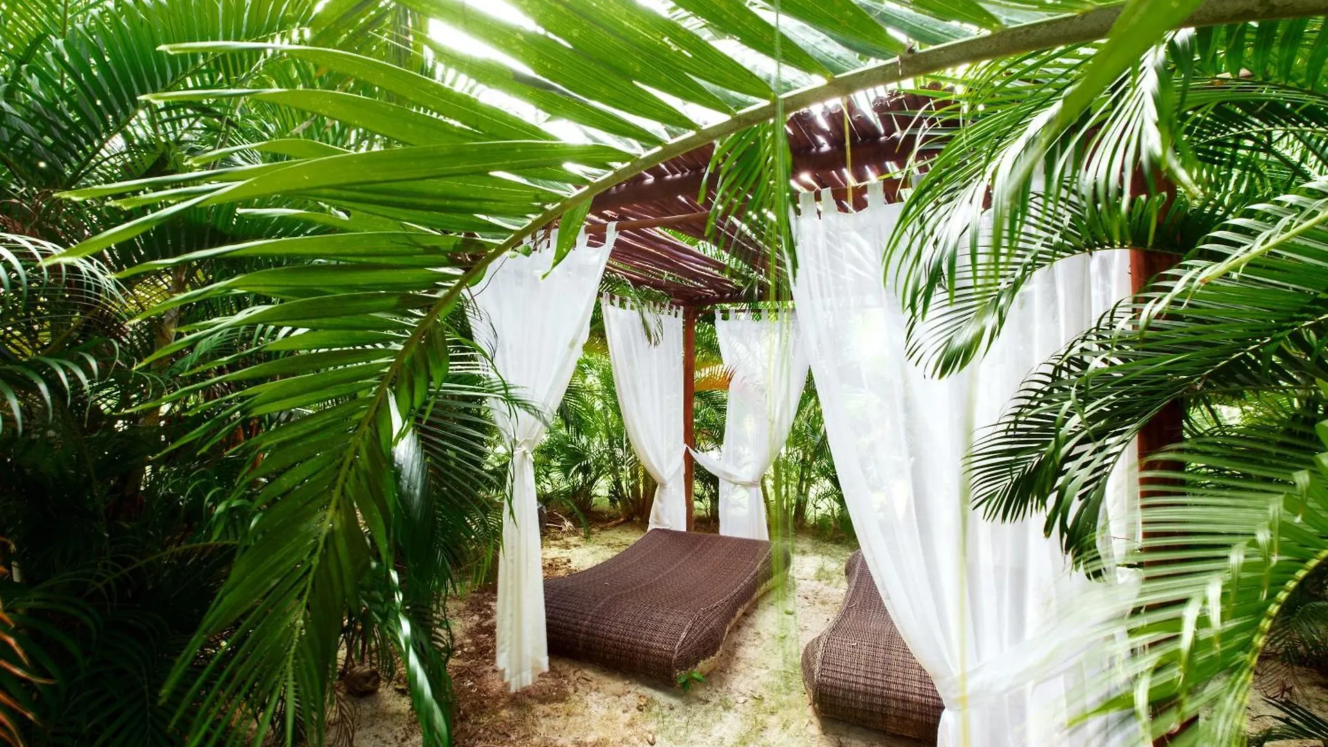 Tropical Studios Deluxe Punta Cana Dominikai Köztársaság